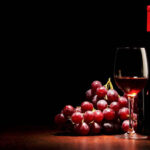 Международный конкурс виноделов 25-27 мая